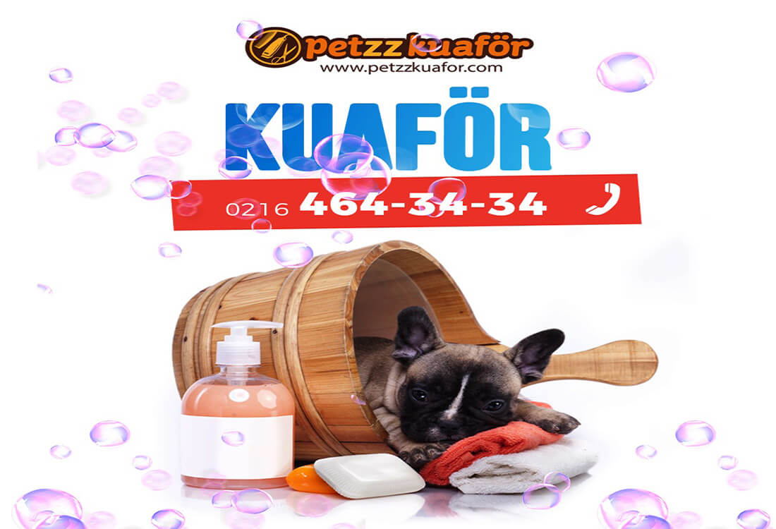 istanbul pet taksi